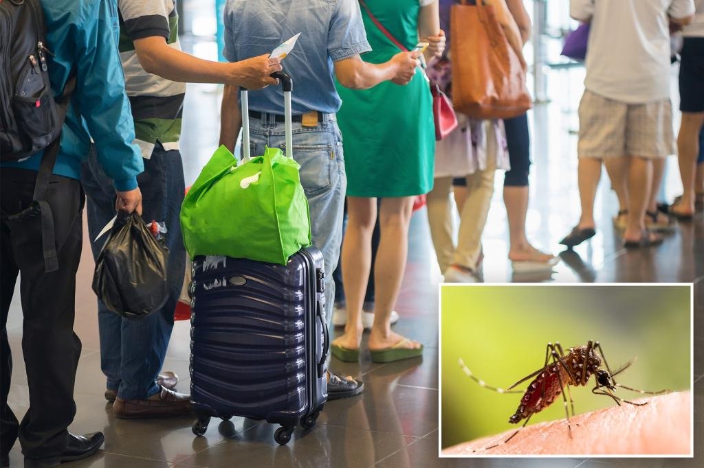 Leia mais sobre o artigo Malaria cases in airport and luggage are on the rise: new study