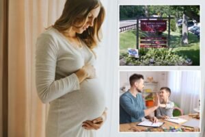Leia mais sobre o artigo How an illness during pregnancy can lead to autism: new study